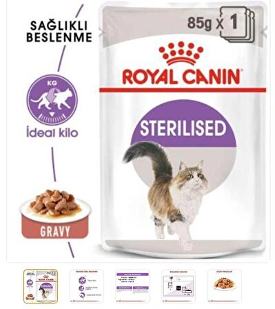  ROYAL CANİN Cat Fhn Sterilised Gravy 37 Kedi Konservesi 12X85 gr