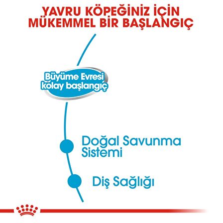 Royal Canin Tavuklu Büyük Irk Yavru Yaş Köpek Maması 195 gr