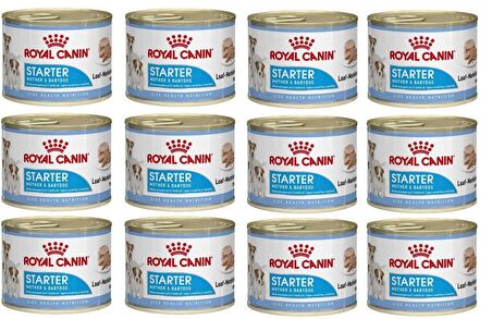 Royal Canin Tavuklu Büyük Irk Yavru Yaş Köpek Maması 12x195 gr