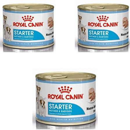 Royal Canin Starter Mousse Yavru Köpek Konservesi 195 Gr (3 Adet)