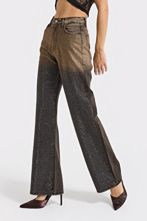 Kadın Koyu Taş Rengi T-21w5-50 Straight Fit Çift Renk Parlak Taş Detaylı Özel Tasarım Denim Jean