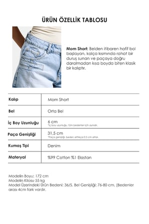 Kadın Ice Renk 4s6-3 Mom Fit Cep Detaylı Komfort Kumaş Denim Şort