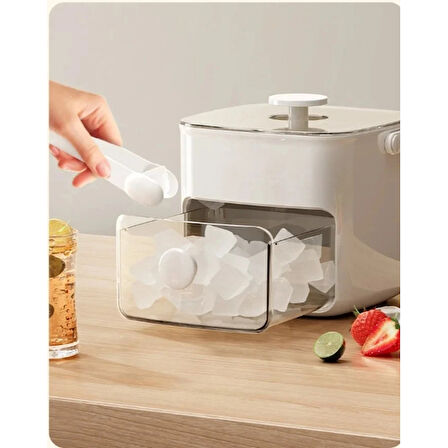 Buz Kalıp Ve Saklama Kutusu 