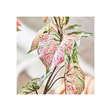 Yapay çiçek, yeşil-pembe, 72 cm, kaladyum, iç-dış mekan
