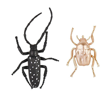 714K-4 - BÖCEKLER POŞETTE