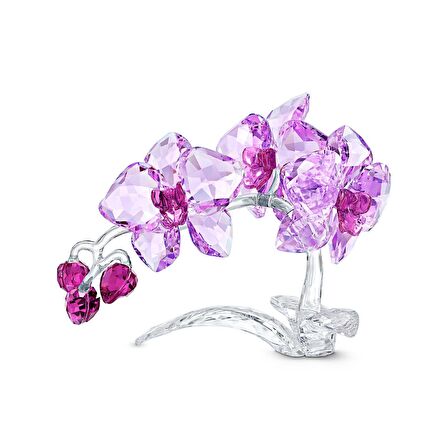 5520373 Swarovski Biblo Crystal Flowers:Orchıd