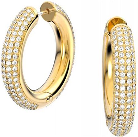 Swarovski Dextera Hoop Küpe, Beyaz 5618305