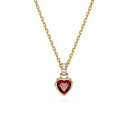 Swarovski SWR5648750 Kalpli Kadın Kolye