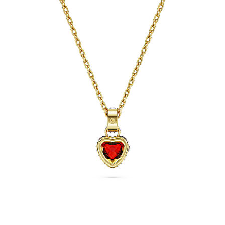 Swarovski SWR5648750 Kalpli Kadın Kolye