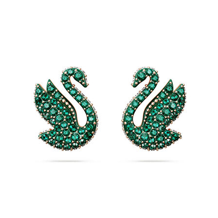 Swarovski SWR5650063 Kadın Küpe