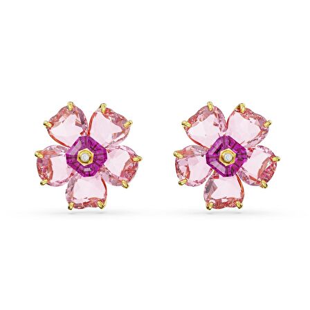 5650563 Swarovski Küpe Florere:Pe Pink/Gos