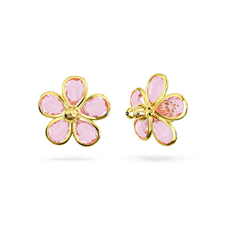 Swarovski SWR5656635 Kadın Küpe