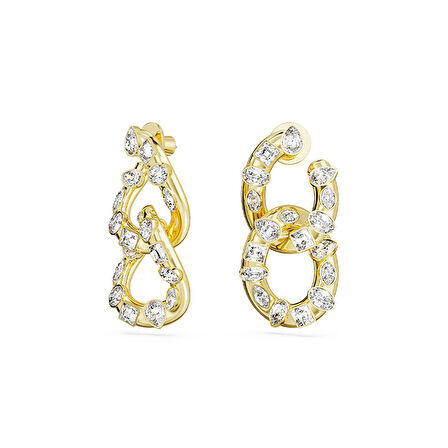 Swarovski SWR5663263 Kadın Küpe