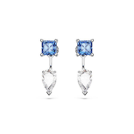 Swarovski SWR5665767 Kadın Küpe