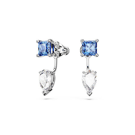 Swarovski SWR5665767 Kadın Küpe
