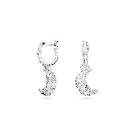 Swarovski SWR5666157 Kadın Küpe