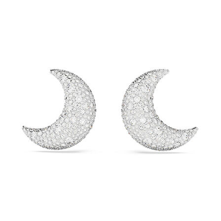 Swarovski SWR5666158 Kadın Küpe