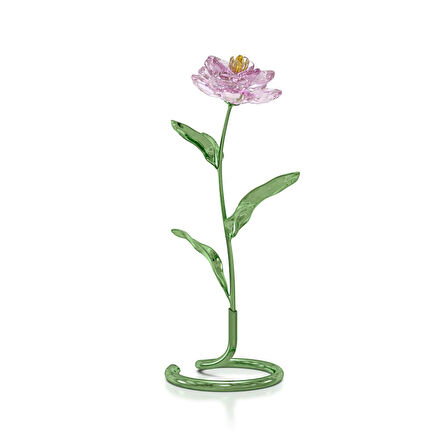 5668065 Swarovski Ev Dekorasyonu Florere:Peony