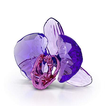5669354 Swarovski Ev Dekorasyonu Idyllia:Scs Orchid Petal