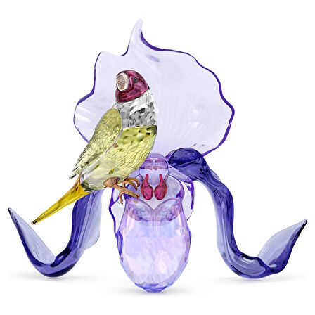 5675211 Swarovski Biblo Idyllıa:Gouldıan Fınch And Orchıd