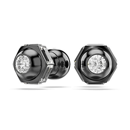 Swarovski SWR5677941 Kadın Küpe