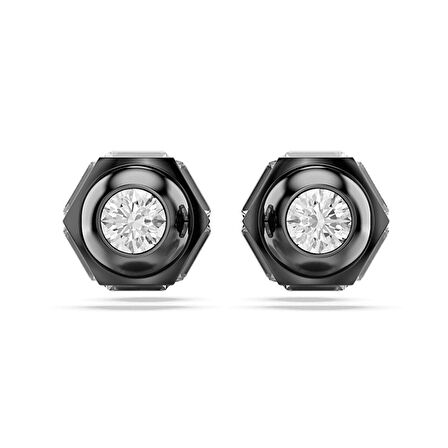 Swarovski SWR5677941 Kadın Küpe