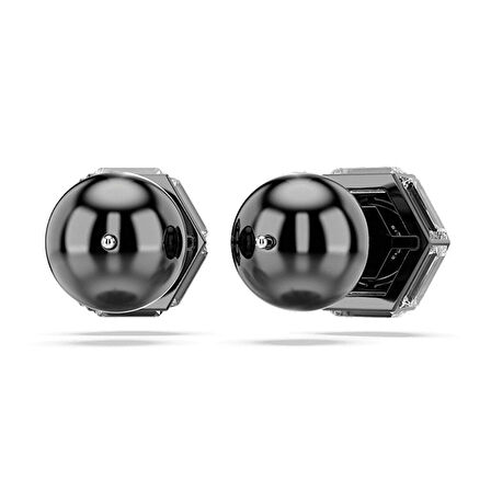 Swarovski SWR5677941 Kadın Küpe