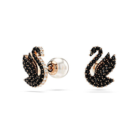 Swarovski SWR5684608 İncili Kadın Küpe