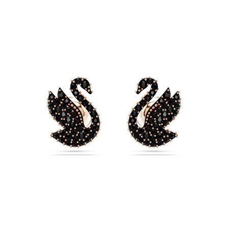 Swarovski SWR5684608 İncili Kadın Küpe