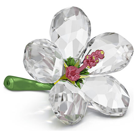 5690534 Swarovski Biblo Florere:Hıbıscus S
