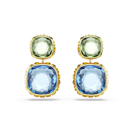 5692492 Swarovski Küpe Chroma:Pe Versatıle Mul/Gos