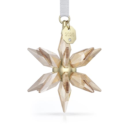 5701505 Swarovski Ev Dekorasyonu Annual Edıtıon:Ornament Festıve 3D 2025