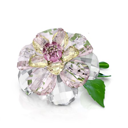 5721538 Swarovski Biblo Florere:Camellıa
