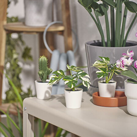 Saksılı yapay bitki, yeşil, 6 cm, monstera