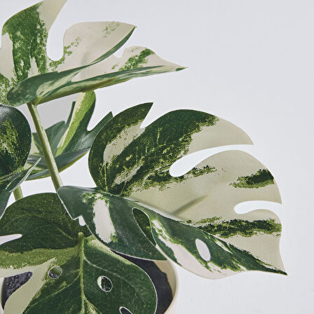 Saksılı yapay bitki, yeşil, 6 cm, monstera