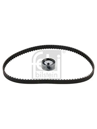 TRIGER EKSANTRIK GERGI SETI DACIA LOGAN  RENAULT CLIO SYMBOL CLIO KANGOO 1.4I 1.6 E7J K7J