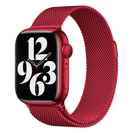 Apple Watch 4/5/6/SE (1.Nesil)/SE 44mm Uyumlu Kordon Metal Tel-Örgü İşlemeli Kordon