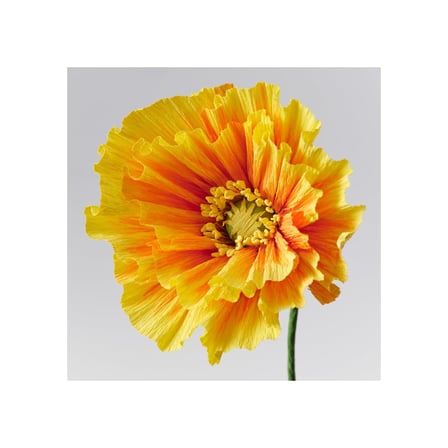 Yapay çiçek, turuncu, 40 cm, gelincik
