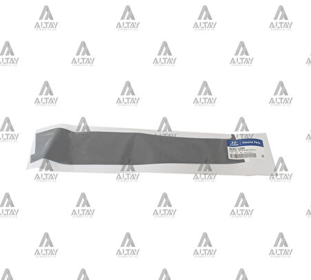 KAPI İSKELET ŞERİDİ I-20 2009-2014 ÖN SOL DİREK 86363 1J000