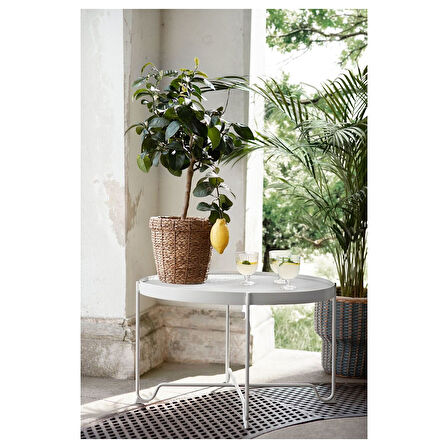 Rattan saksı, deniz sazı, 19 cm