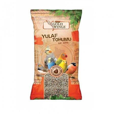 Gold Wings Yulaf Kuş Yemi 300 Gr