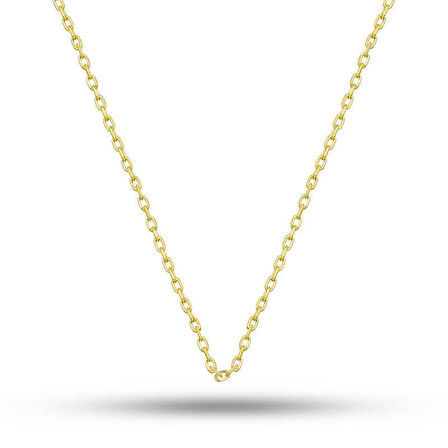 Gümüş Gold 0.30 Mikron 45 Cm Forse Kadın Zincir