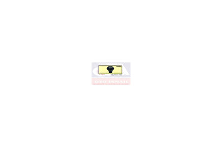 VİTES TOPUZU R12 GTS 7702128208