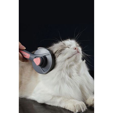 Otomatik Tuşlu Kendini Temizleyen Kedi Köpek Tarağı 