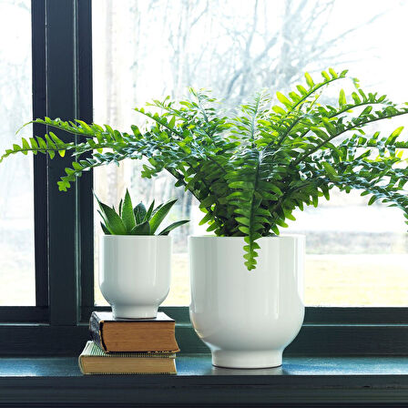 Toprak saksı, beyaz, 15 cm