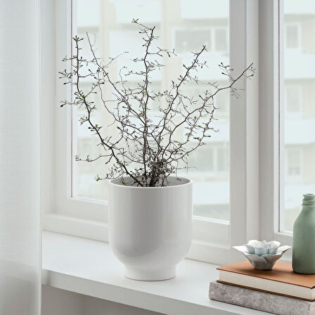 Toprak saksı, beyaz, 15 cm