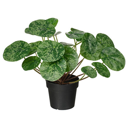 Yapay bitki, yeşil, 9 cm, Pilea, iç/dış mekan