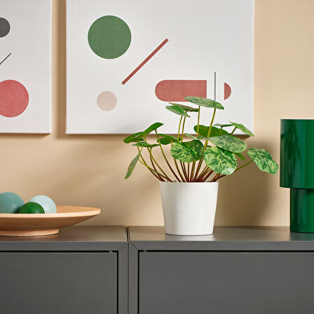 Yapay bitki, yeşil, 9 cm, Pilea, iç/dış mekan