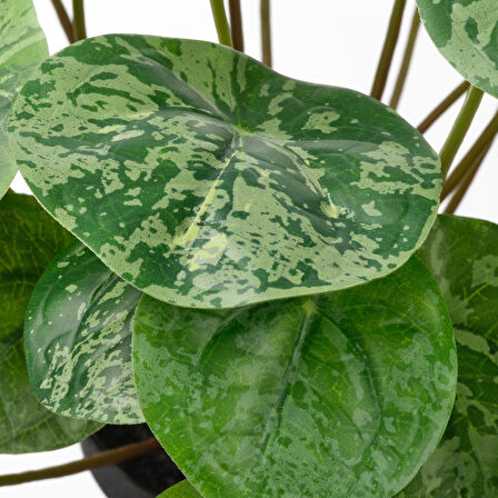 Yapay bitki, yeşil, 9 cm, Pilea, iç/dış mekan