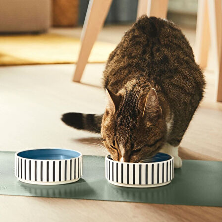 Kedi/köpek mama kabı, çok renkli, 11 cm